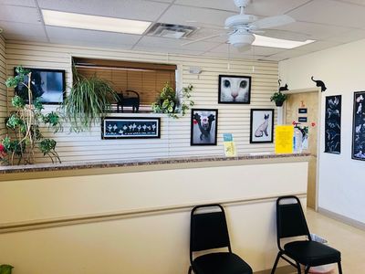 Veterinarian in El Paso, TX - About Us